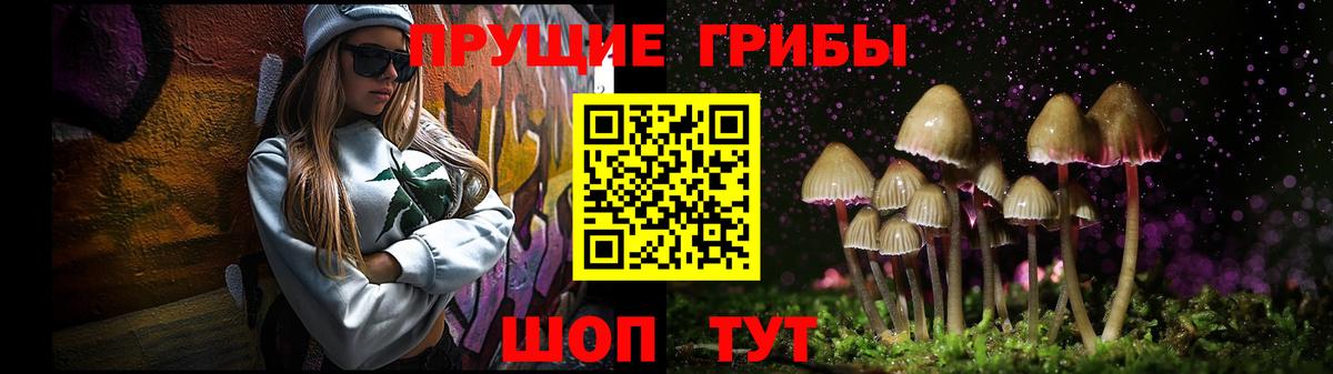 Галлюциногенные грибы Psilocybe Борисоглебск